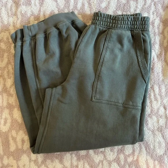 Aerie vacay joggers- medium - Picture 8 of 8